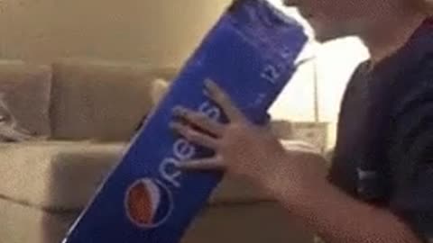 Funny cat sharp shooter jump 1-2-3.bang!!