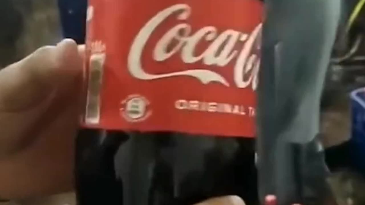 Unbelievable! A clandestine Coca-Cola factory? Watch and draw your own conclusions!