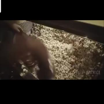 Communist plan to take america