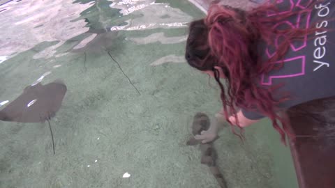 McMinn Zoo Shark Encounter