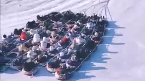 Funny video