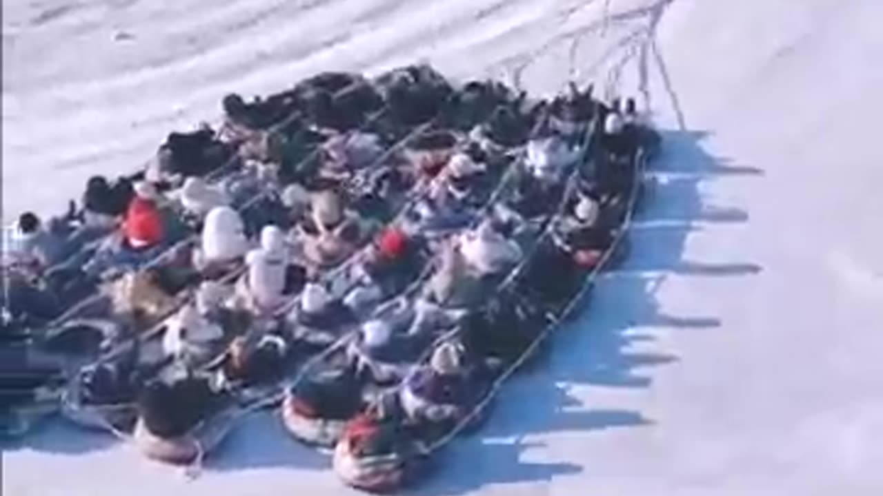 Funny video
