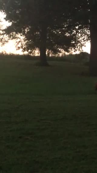 Cooper mowers the church lawn