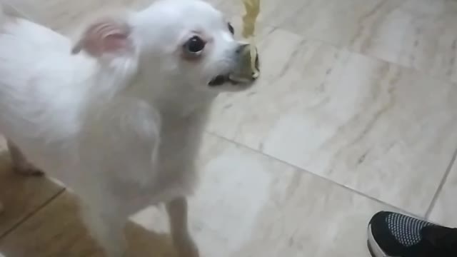 I am hungry!