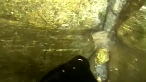 Clean up the underwater garbage and protect the marine natural environment.#3