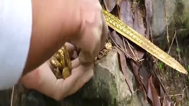 Hidden Treasure #3
