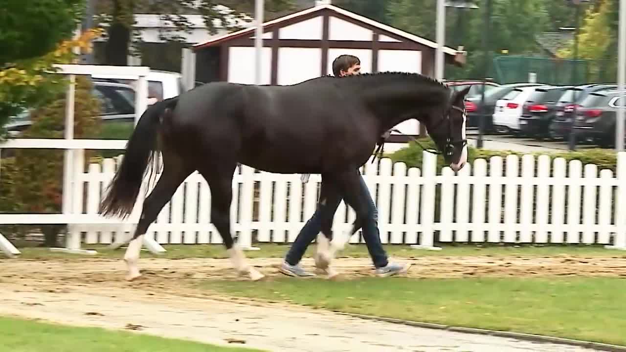 TOTILLAH - Zuchthof Kathmann