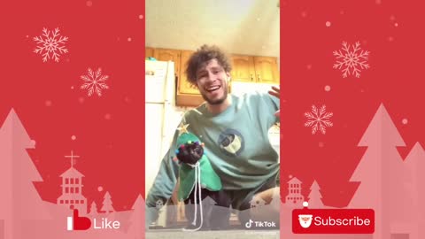 Here are the cutest holiday pets- funny Christmas video