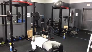 DB Bench Press