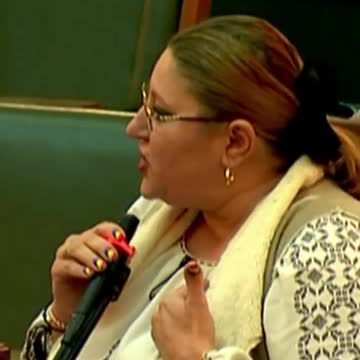 28 Noiembrie 2022 - Lucrări în plenul Senatului României