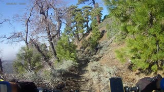Fun run down Logging