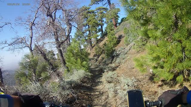 Fun run down Logging