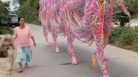 amazing walk of real girls