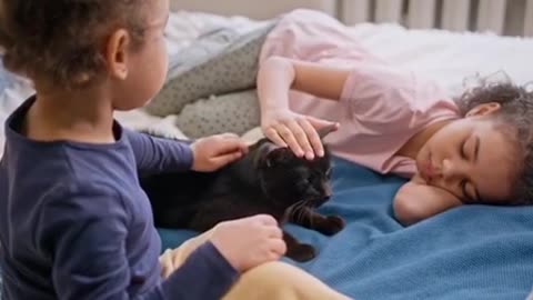 Kids love to play with the cat