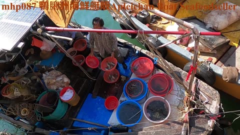 鴨脷洲海鮮艇販 Apleichau Boat Seafood Seller, mhp087