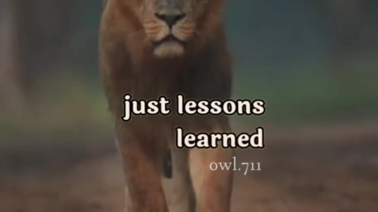 Motivation