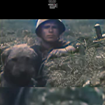 Soviet Union Anti-Tank Dogs - Unconventional COLOURIZED Footage 🐾🇷🇺🎥