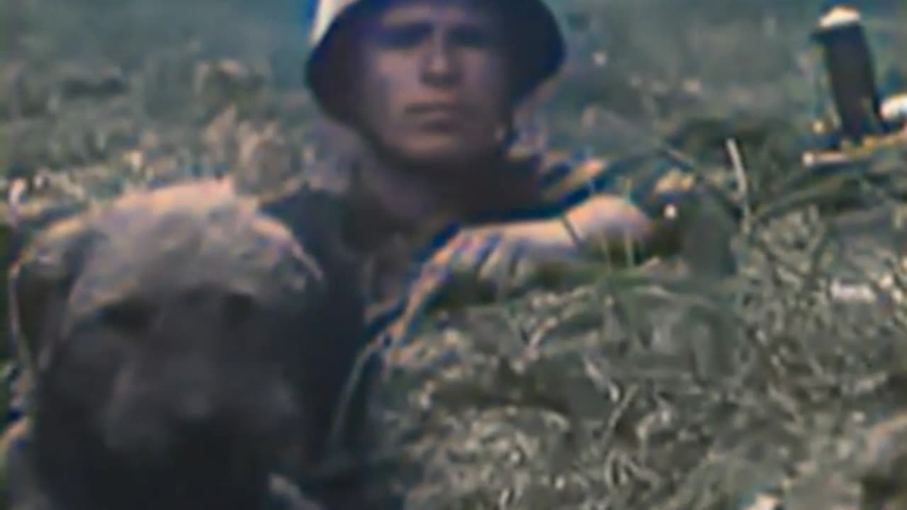 Soviet Union Anti-Tank Dogs - Unconventional COLOURIZED Footage 🐾🇷🇺🎥