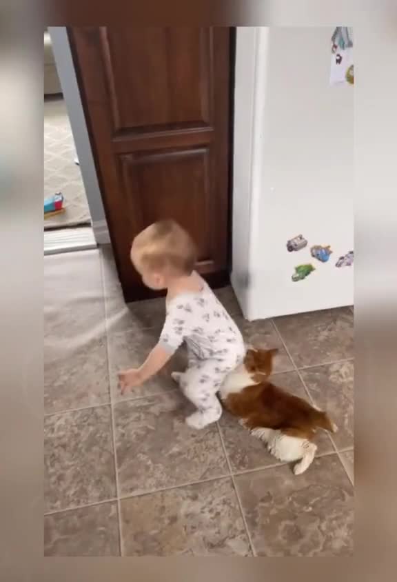 Funniest Animals - Best Of The 2021 Funny Animal Videos