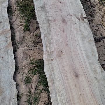 Maple Log to Slabs