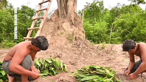 Build Tree House