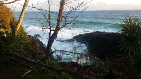 On Trail to Queens Bath on Island of Kauai