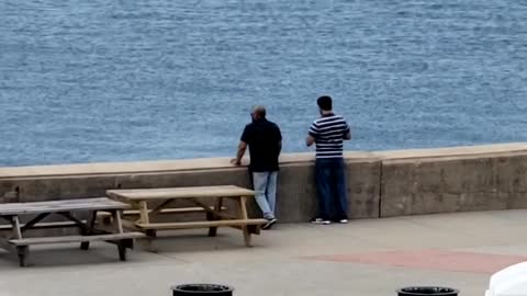 Sea Side America