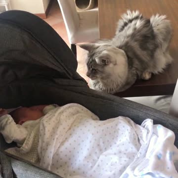 Horus and brother Léon