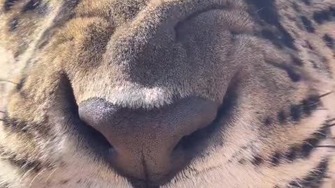 funny videos are fun and entertainment