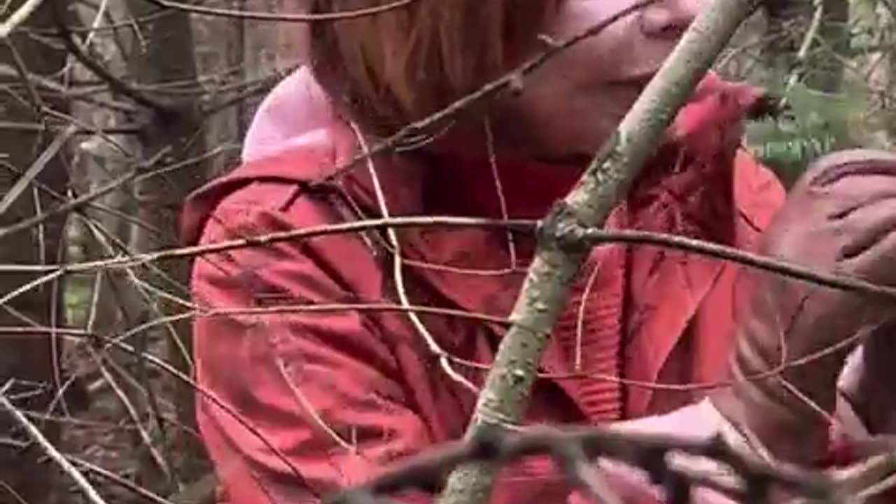 Nancy Pelosi Feeling Hungry