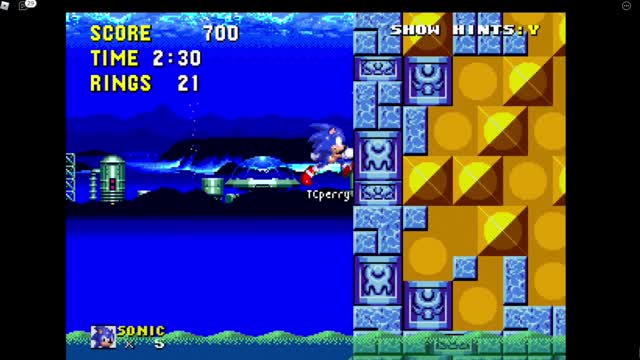 Classic Sonic Simulator - Flooded Ruins (Route 1)