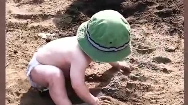 Funny funny No2