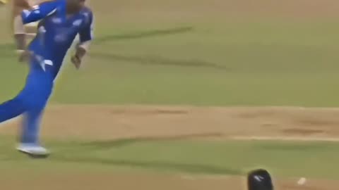Cricket love