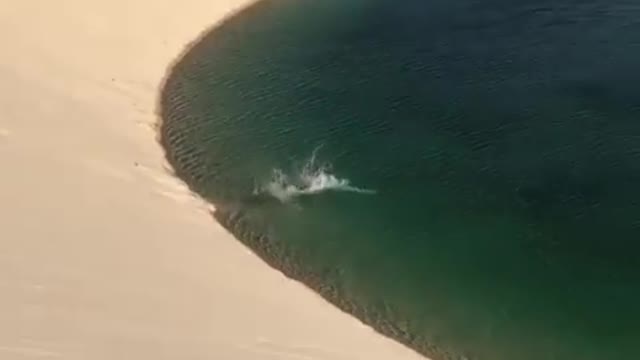 Waiting on the sunset in Andorinhas Lagoon! 😲 Would you try this?👇