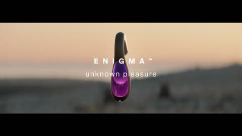 LELO Enigma