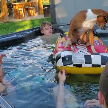 Cutest pup enjoying the hot tub with the boys