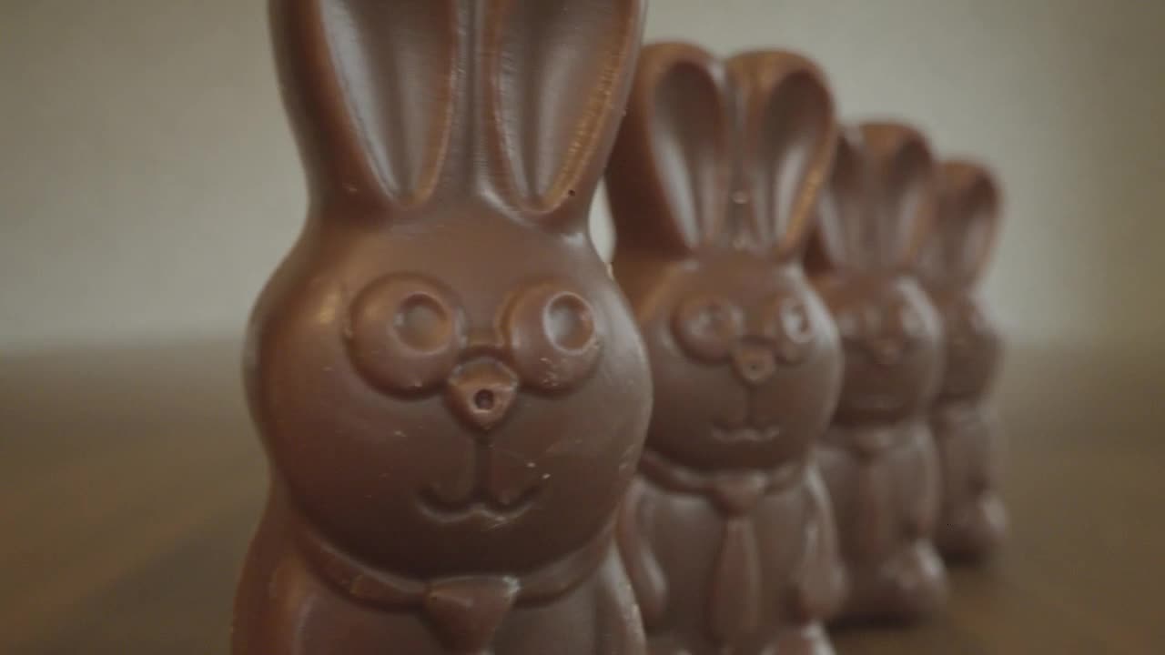 Panning Past Chocolate Bunnies