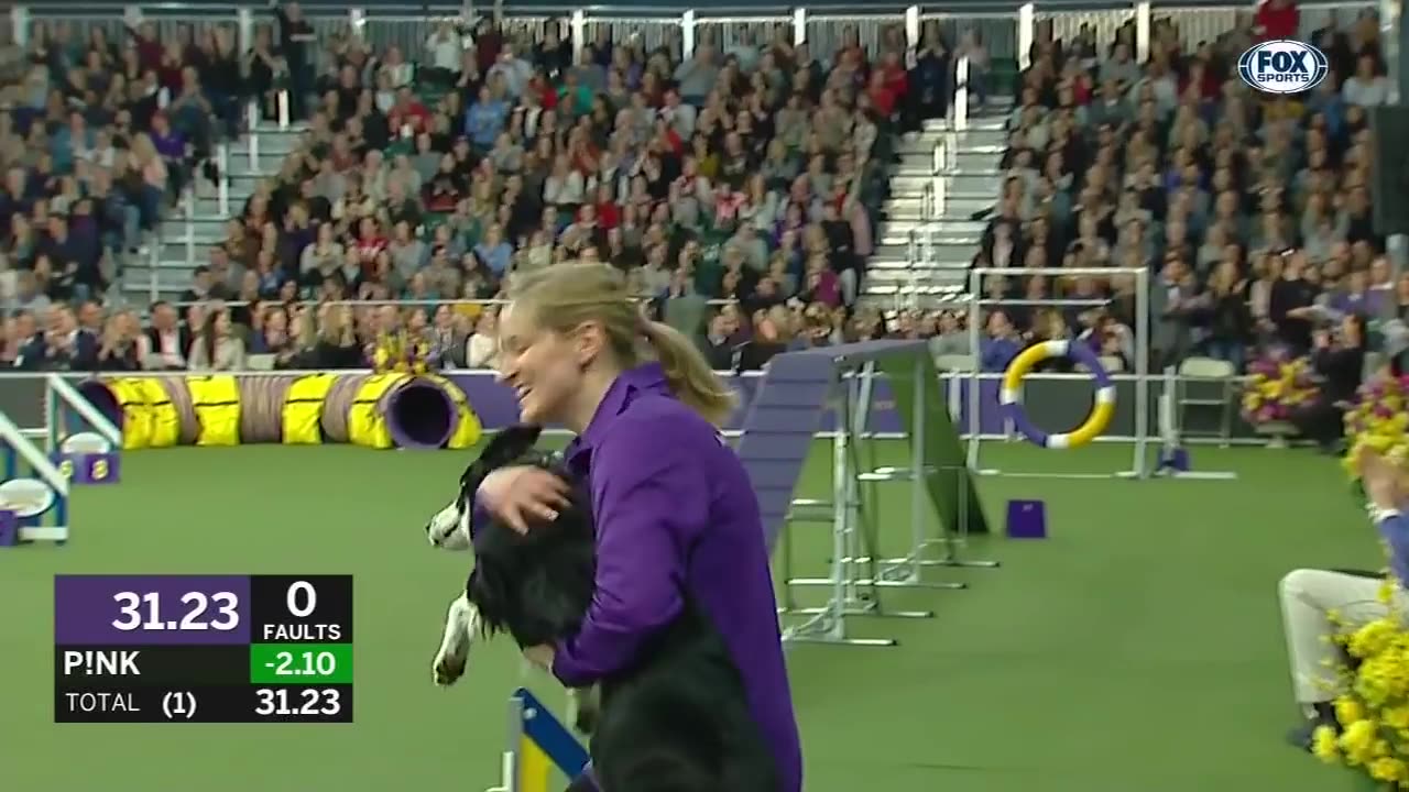 Pink the border collie wins back to back titles at the 2019 wks masters Agility