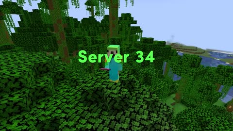 I Joined 100 Servers, Here's What Happened_p11