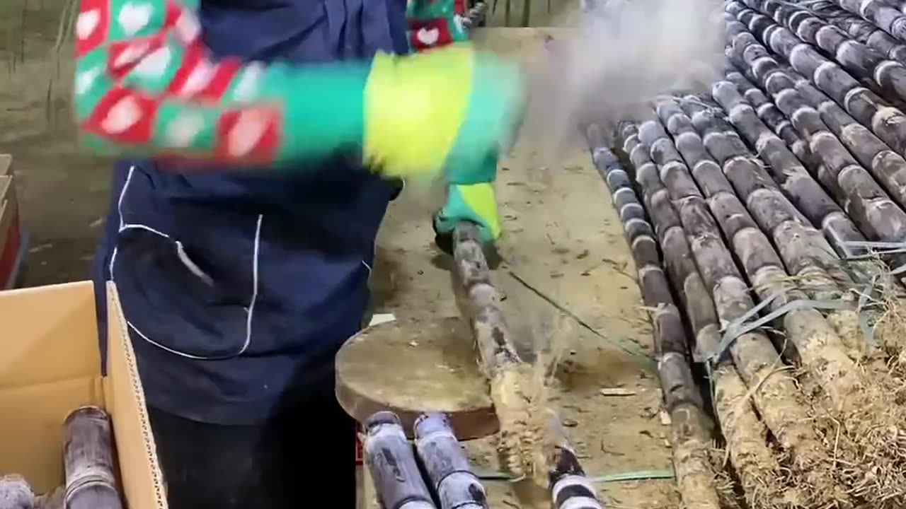 Fresh Cut Sugarcanes #satisfying #shot