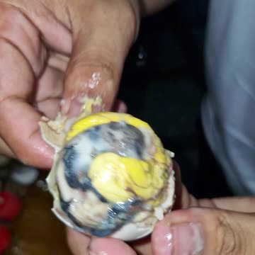 Balut, The Philippines champion of street food challenges!