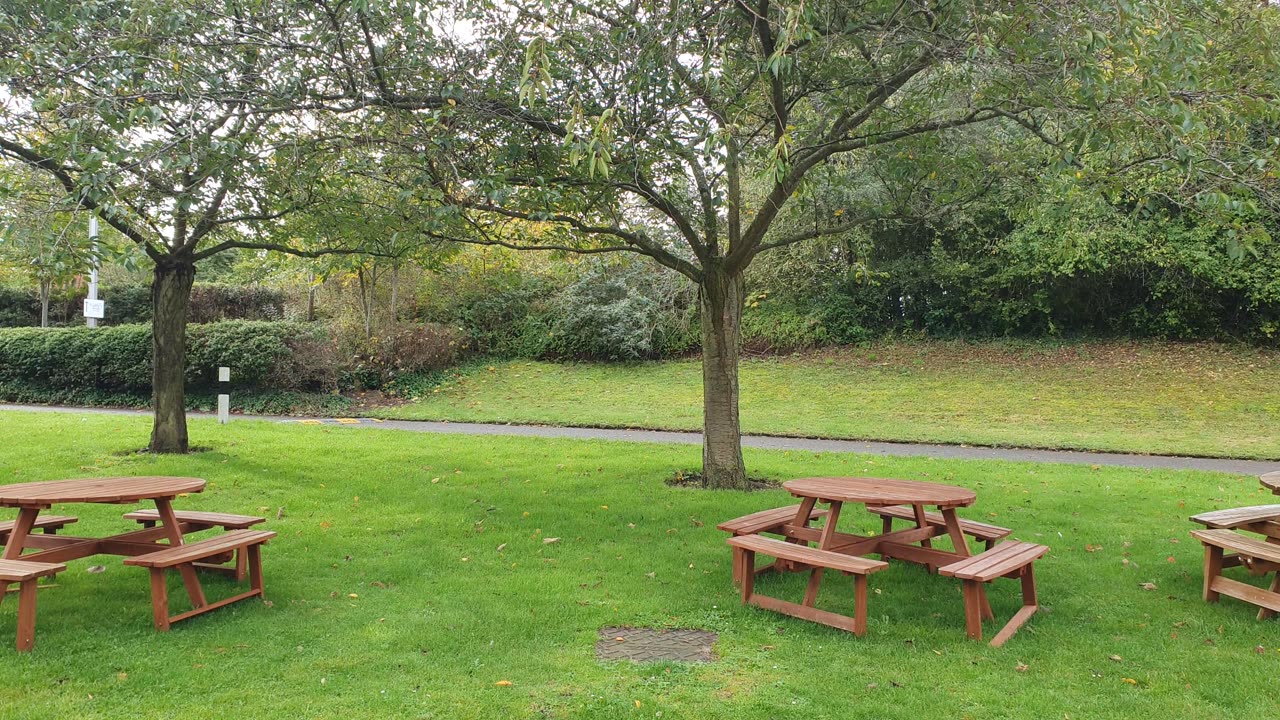 Creating a Tranquil Wooden Bench Retreat in a Lush Green Oasis