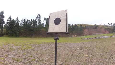 FX Air Guns Revolution 5.5