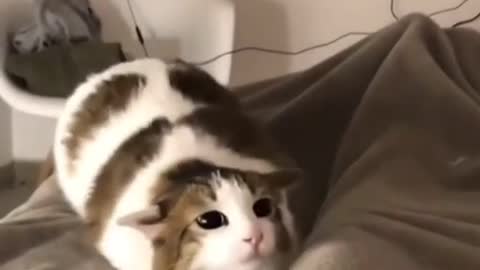 Moving to the beat 😅💃