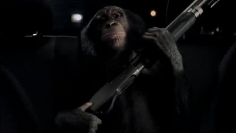 Suburban Auto Group - Trunk Monkey Chaperone Option