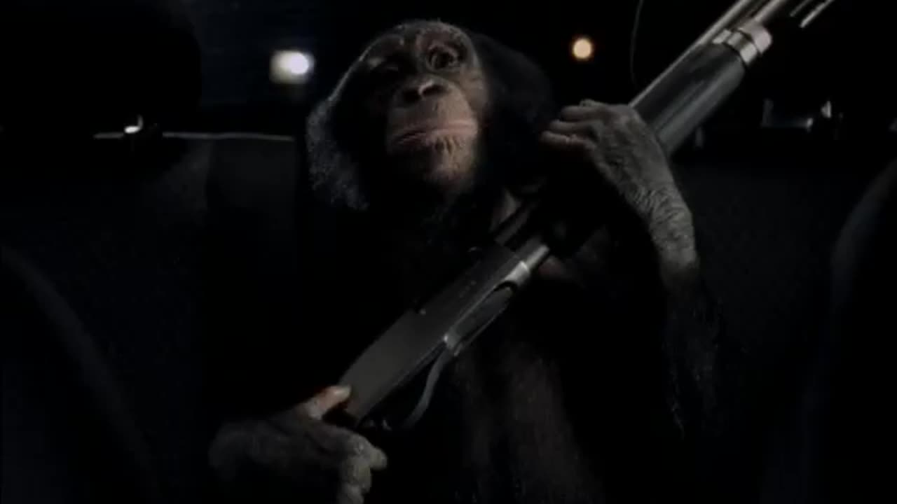 Suburban Auto Group - Trunk Monkey Chaperone Option