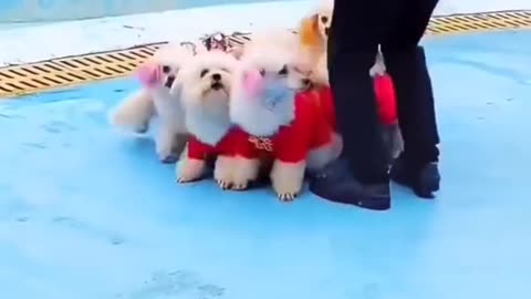 So sweet