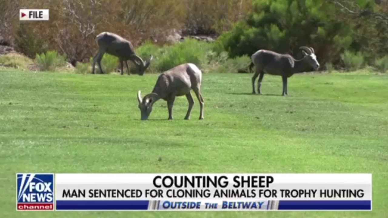 Man sentenced for cloning animals for trophy hunting