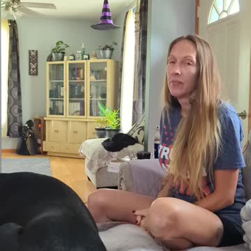 I Barked At My Dog 😂