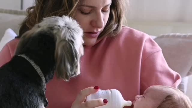 Mom shareing love with lovely dog😘🐶🐶